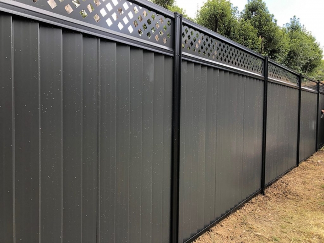 ACFS FENCING GALLERY (4)